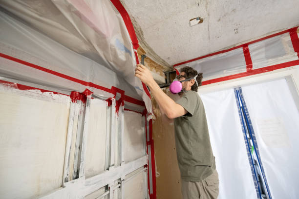 Best Post-Construction Mold Inspection  in Eldorado, TX